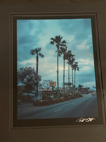 Framed Photograph - Ventura Blvd Palms